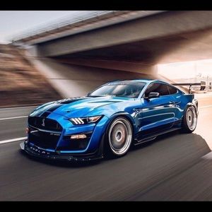 Meet your Posher, Luis